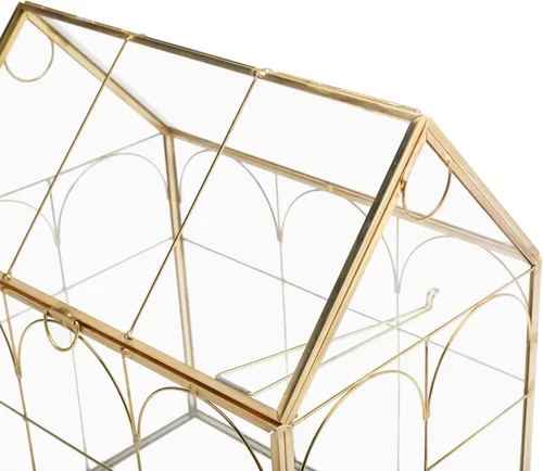 Vista 8 de HighFree Terrario geométrico para plantas con tapa, kit de terrario para suculentas para exhibición, plantas de aire, suculentas, terrario en Dorado