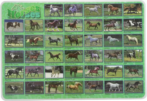 Vista 9 de Painless Learning Popular Birds - Mantel individual, tamaño grande
