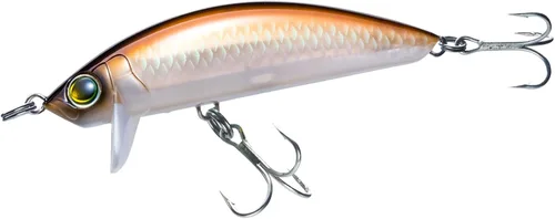 Vista 14 de Minnow de superficie costera 3D