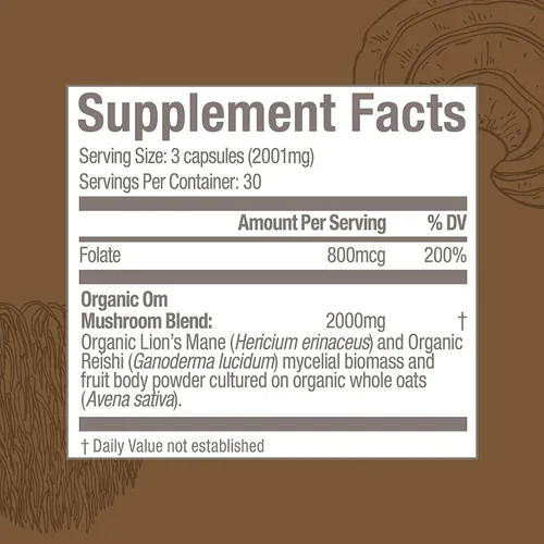Vista 5 de OM MUSHROOM SUPERFOOD Brain Fuel - Cápsulas en polvo de hongos suplemento superalimentario, 90 unidades, 30 días, melena de león, mezcla de reishi