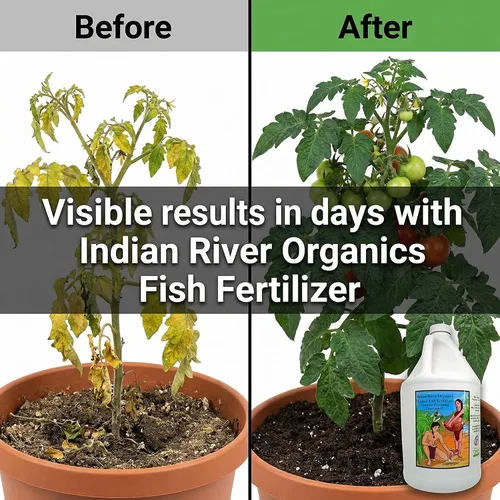 Vista 4 de Fertilizante de pescado - Fertilizante de pescado hidrolizado con certificación Omri para plantas (1 galón)