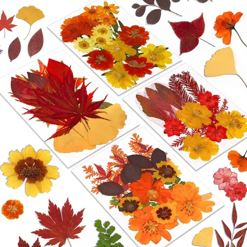 Vista 16 de Augshy Juego de flores secas prensadas reales con calcomanías transparentes de mariposa, calcomanías para álbumes de recortes, flores secas