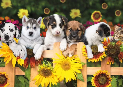 Vista 2 de Buffalo Games – Adorable Animals – The Gang's All Here – unos rompecabezas de 300 piezas grandes