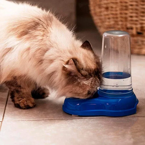 Vista 4 de Ferplast AZIMUT 600 Dispensador de alimentos o agua para perros y gatos Dispensador de alimentos secos Alimentador de agua 0,6 litros, fondo Blanco