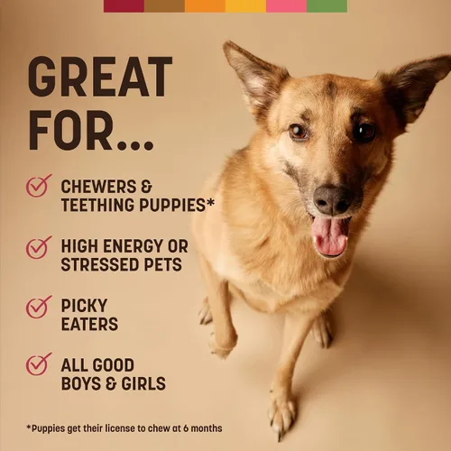 Vista 6 de Earth Animal Tiras sin ocultar - Tiras masticables naturales para perros sin cuero crudo, de ternera - 4 unidades Long Strips Beef Flavored
