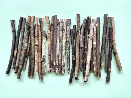 Vista 15 de ECOVENIK 25 piezas - Ramas - 28.7 in, ramitas de abedul natural, paquete de 20-25 tallos, largo para jarrones de suelo, (blanco y gris)