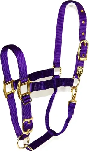 Vista 8 de Hamilton, Halter de 1 pulgada con barbilla ajustable, azul baya, 800-1100 libras