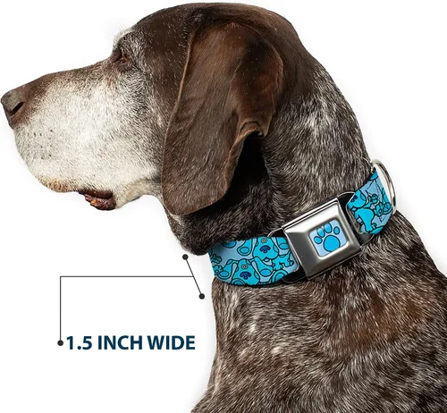 Vista 7 de Buckle-Down Collar de perro Hebilla de cinturón de seguridad Blues Clues Blue Poses dispersas 9.5 a 13 pulgadas 1.0 pulgadas de ancho