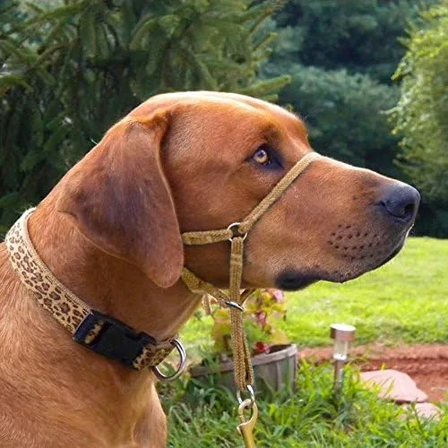 Vista 2 de Comfort Trainer - Cabestro de cabeza de perro, talla 3, color negro