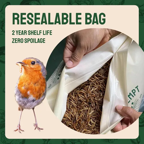 Vista 6 de Hatortempt Gusanos secos de harina para aves silvestres – Bolsa de 1.8 libras – Alimento Bluebird – Gusanos de comida con alto contenido
