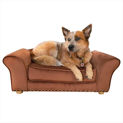 Vista 13 de Critter Sitters Sofá para Perros Rectangular de Microfibra Tostado de 36 Pulgadas para Perros de Tamaño Mediano, Cama Sofá Elevada Moderna