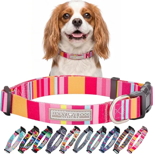 Vista 36 de Lucky Love Dog - Collar para perras pequeñas, diseño Blackbird de estampado alegre con flores de primavera y verano, talla XS Collar Blackbird