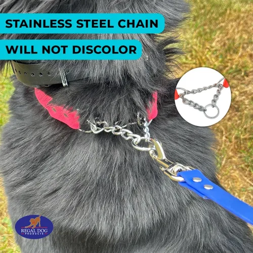 Vista 9 de Regal Dog Products Collar Martingale para perros – Collar impermeable de bioano para perros pequeños, medianos y grandes – Cadena resistente