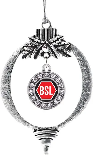Vista 55 de Inspired Silver - Adorno con dije de cara de carlino - Adornos navideños de círculo de plata con joyas de circonita cúbica