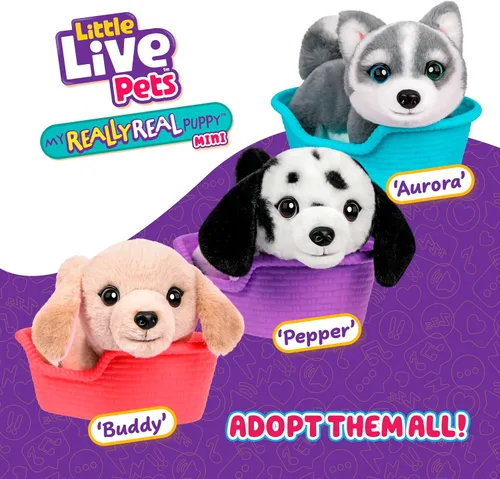 Vista 6 de Little Live Pets Mi cachorro realmente real Mini Aurora El Husky, juguete de peluche interactivo con cesta de exhibición, más de 20 sonidos