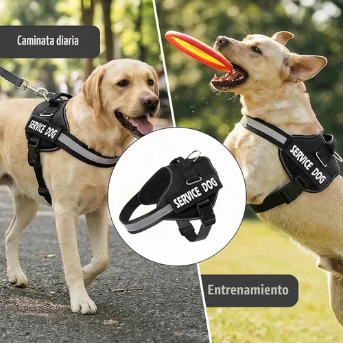 Vista 7 de MUMUPET Arnés para perro de servicio, chaleco reflectante y antitirones Negro