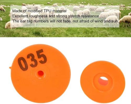 Vista 4 de 100PCS Ganado Etiquetas de oído para oveja, cabra, ganado, cerdo Naranja