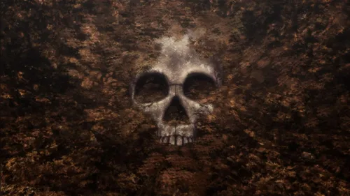 Vista 7 de BEAUTIFUL BONES