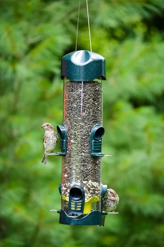 Vista 4 de Brome Mega 600 comedero para pájaros – Alimentador de tubo de gran capacidad para aves silvestres, 6 puertos de alimentación, capacidad de semillas