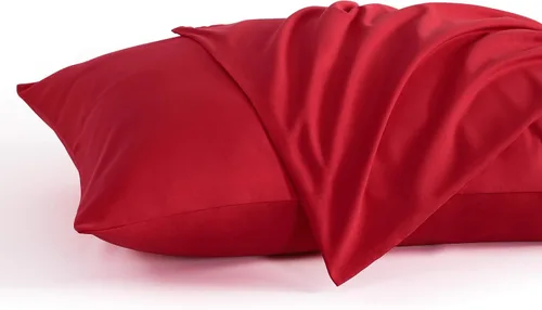 Vista 55 de NTBAY Juego de 2 fundas de almohada estándar, paquete de 2 fundas de almohada de microfibra cepillada de 20x26, suaves, resistentes a las arrugas, a