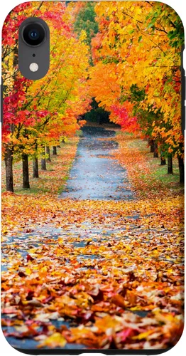 Vista 24 de iPhone 11 Otoño Hojas - Hermoso estuche de arboles
