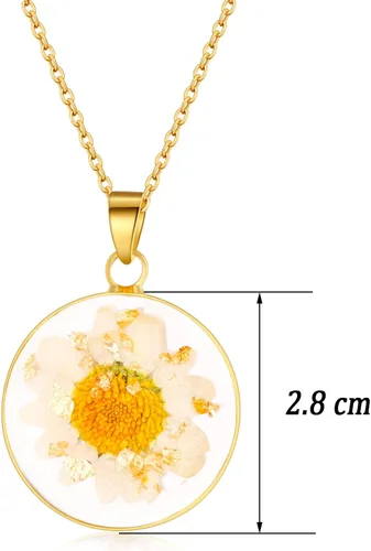 Vista 13 de Forget-Me-Not and Queen Anne's Lace Pressed Wildflower Necklace Birth Month Real Flower Necklace Gold/Silver Pressed Flower Jewelry