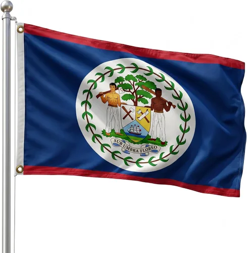 Vista 64 de DMSE - Bandera nacional beninesa beninesa de la República de África Occidental, 2 x 3 pies, 100 % poliéster, 100 % poliéster, resistente a los rayos