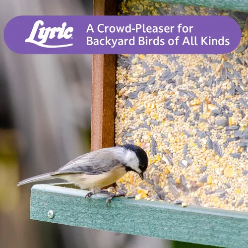 Vista 8 de Lyric Mezcla de aves silvestres: incluye maíz, nueces y semillas de aves