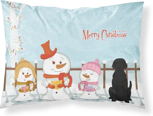 Vista 36 de Caroline's Treasures BB2515PILLOWCASE Between Friends Appenzeller Sennenhund - Funda de almohada de tela estándar, ligera, súper suave, fácil