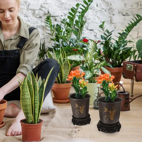 Vista 9 de BETOOKY 2 Set Orchid Flower Pots with Bases, ABS Indoor Planters Simple Surface Finish, Garden Windows Use, Airflow and Drainage Design, 2 Sets