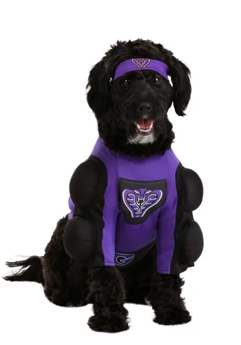 Vista 2 de Disfraz de Perro Globo Gym Dodgeball Multicolor