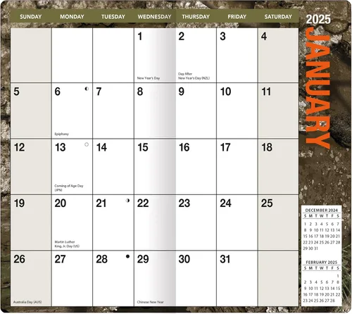Vista 4 de TURNER LICENSING Realtree 2025 - Planificador de dos años - PF (25998161228)