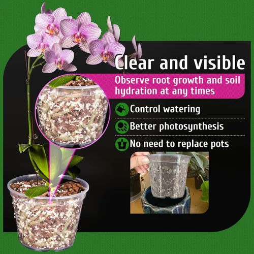 Vista 4 de Maceta para Orquídeas, Paquete de 6 Macetas para Orquídeas con Agujeros, Maceteros de Flores de Plástico Transparente de 5.5 Pulgadas