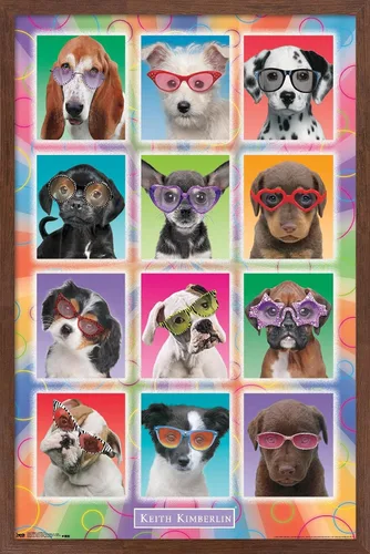 Vista 16 de Trends International Keith Kimberlin - Póster de pared con diseño de cachorros, gafas de sol, 14.725 x 22.375 pulgadas, versión enmarcada de madera