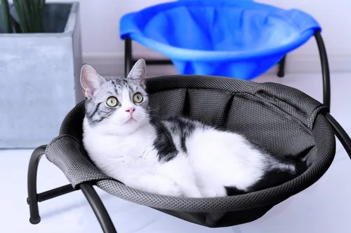Vista 4 de MW Hamaca para gatos de pie independiente para gatos pequeños y grandes, lavable (azul)