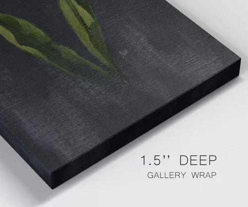 Vista 6 de Renditions Gallery Master Botanical II - Arte de pared, decoración en lienzo de alta calidad con envoltura de galería, listo para colgar, 16