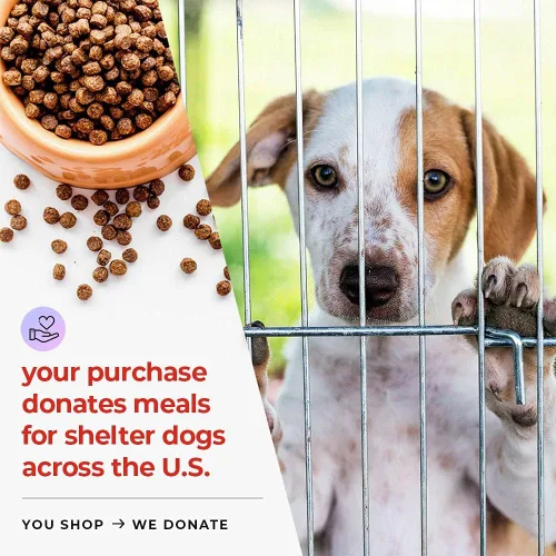 Vista 7 de iHeartDogs Caldo de huesos y colágeno para perros, caldo de huesos y hongos en polvo dorado para apoyo del sistema inmunológico, movilidad