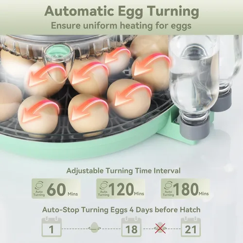 Vista 5 de Incubadora de 18 huevos con giro automático de huevos para incubar pollo codorniz pato Hatching Unit with Digital Control & Built-in Candler, 2