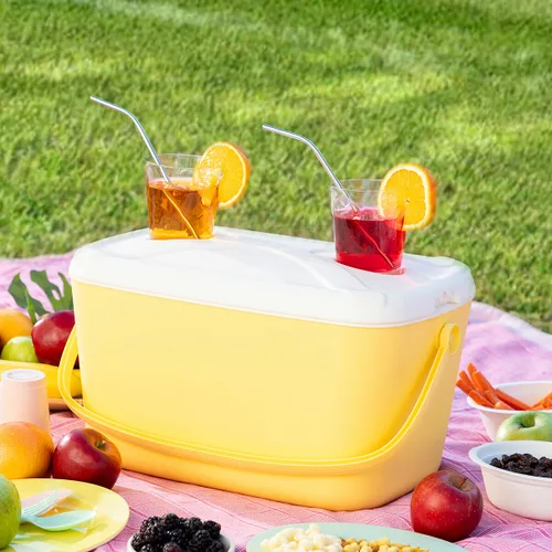 Vista 4 de Nevera Portátil Rígida Lilty InnovaGoods 15 L