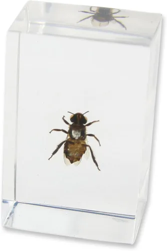 Vista 3 de REALBUG Pisapapeles de abeja de miel (1.8x1.1x0.8)
