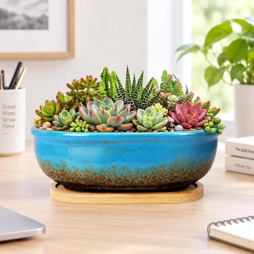 Vista 3 de Macetas para suculentas, macetas rectangulares de 7.9 pulgadas de largo con bandeja de drenaje, macetas poco profundas para plantas de interior Azul