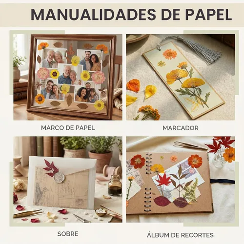 Vista 5 de LUXEEASE 120P Amarillo Naranja Rojo Flores Secas Prensadas Amarillo y naranja 120 piezas