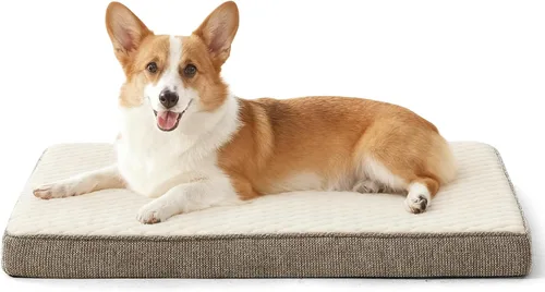 Vista 20 de JOEJOY Cama ortopédica para perros extra grandes
