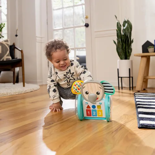Vista 18 de Juguete de bebé para gatear Baby Einstein Chase & Tap Earl, con espejo y música, para bebés de 6 meses en adelante (Paquete de 4)