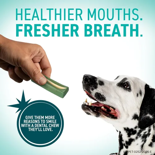 Vista 6 de OraVet Masticables de higiene dental para perros pequeños, cuidado bucal con delmopinol, sabor a vainilla, 14