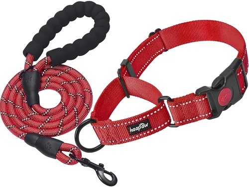 Vista 11 de haapaw Martingale - Collar de perro con hebilla de liberación rápida reflectante para perros pequeños, medianos y grandes