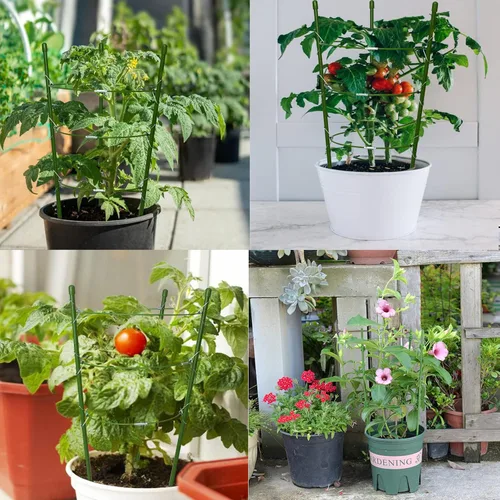 Vista 6 de Jaulas de tomate pequeñas de 18 pulgadas, paquete de 4 enrejados de jardín ajustables para plantas trepadoras de interior y exterior, estacas