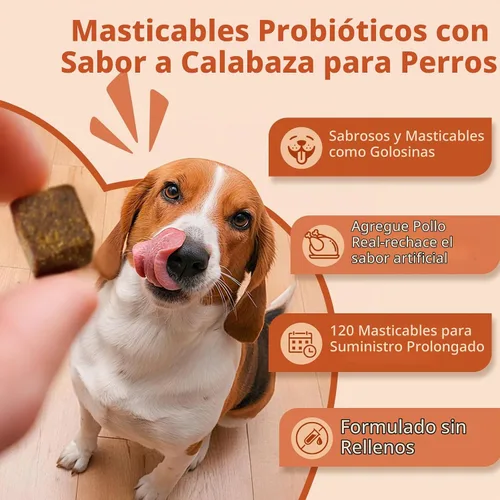 Vista 4 de ZEBORA Probióticos para perros, apoya la salud digestiva, 120 masticables suaves