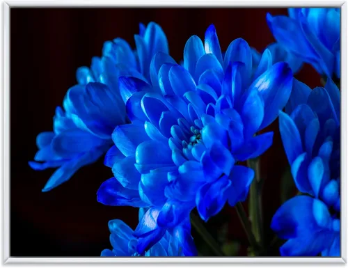 Vista 19 de DesignQ Lienzo enmarcado tradicional con flores silvestres azules con hojas verdes II