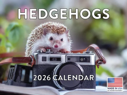 Vista 96 de Calendario mensual de pared de alpaca 2025 Fabricado en Estados Unidos